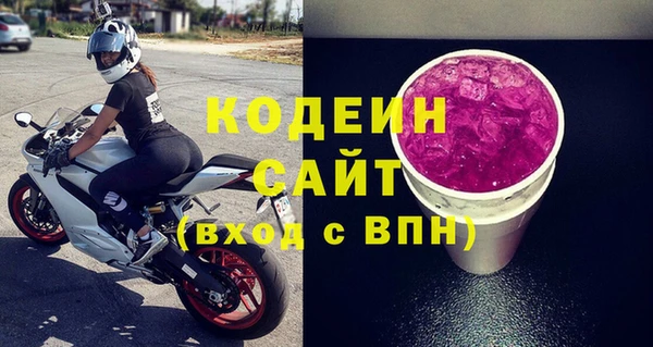 шишки Ачинск